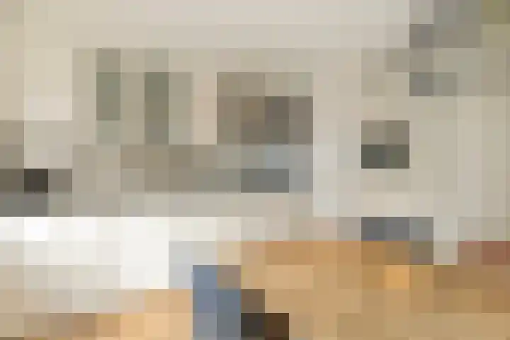 Rembrandt van Rijnsingel 80 Roelofarendsveen thumbnail 7