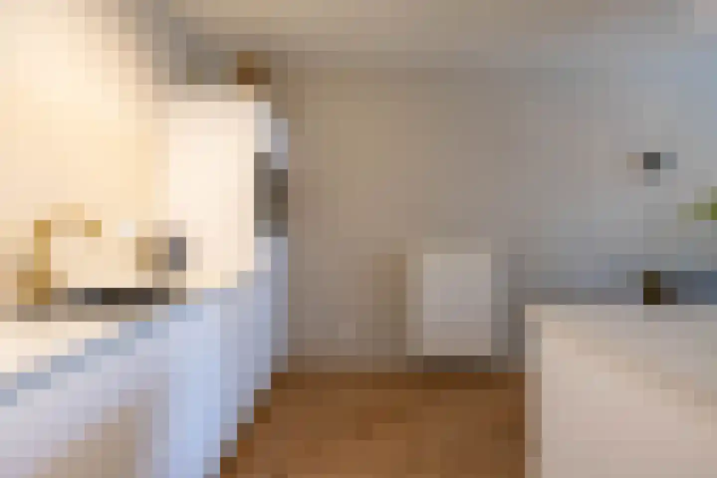 Rembrandt van Rijnstraat 111 Groningen thumbnail 24