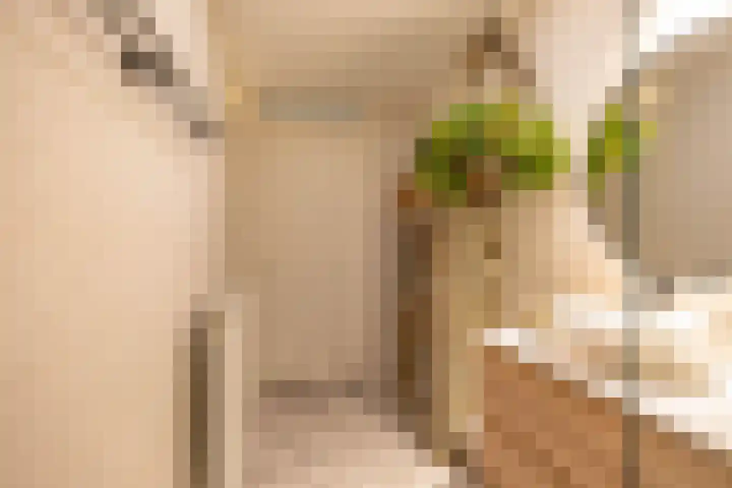 Rembrandt van Rijnstraat 111 Groningen thumbnail 33