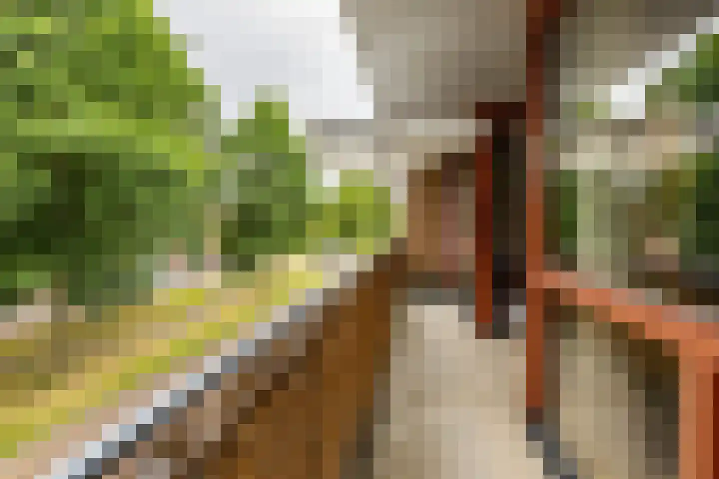 Rembrandt van Rijnstraat 111 Groningen thumbnail 38