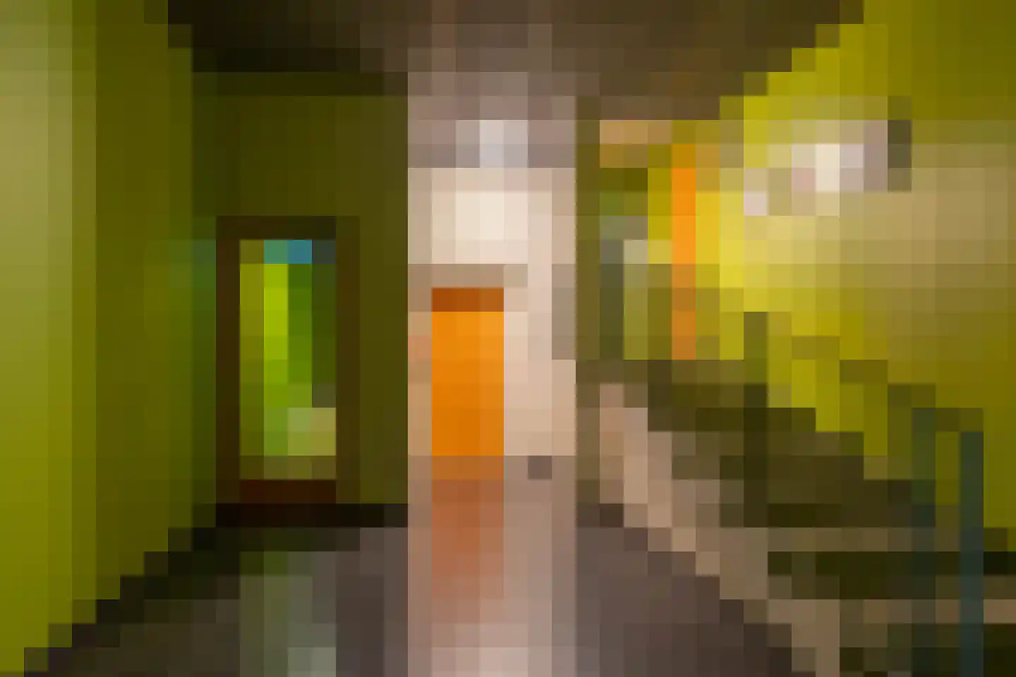 Rembrandt van Rijnstraat 111 Groningen thumbnail 9