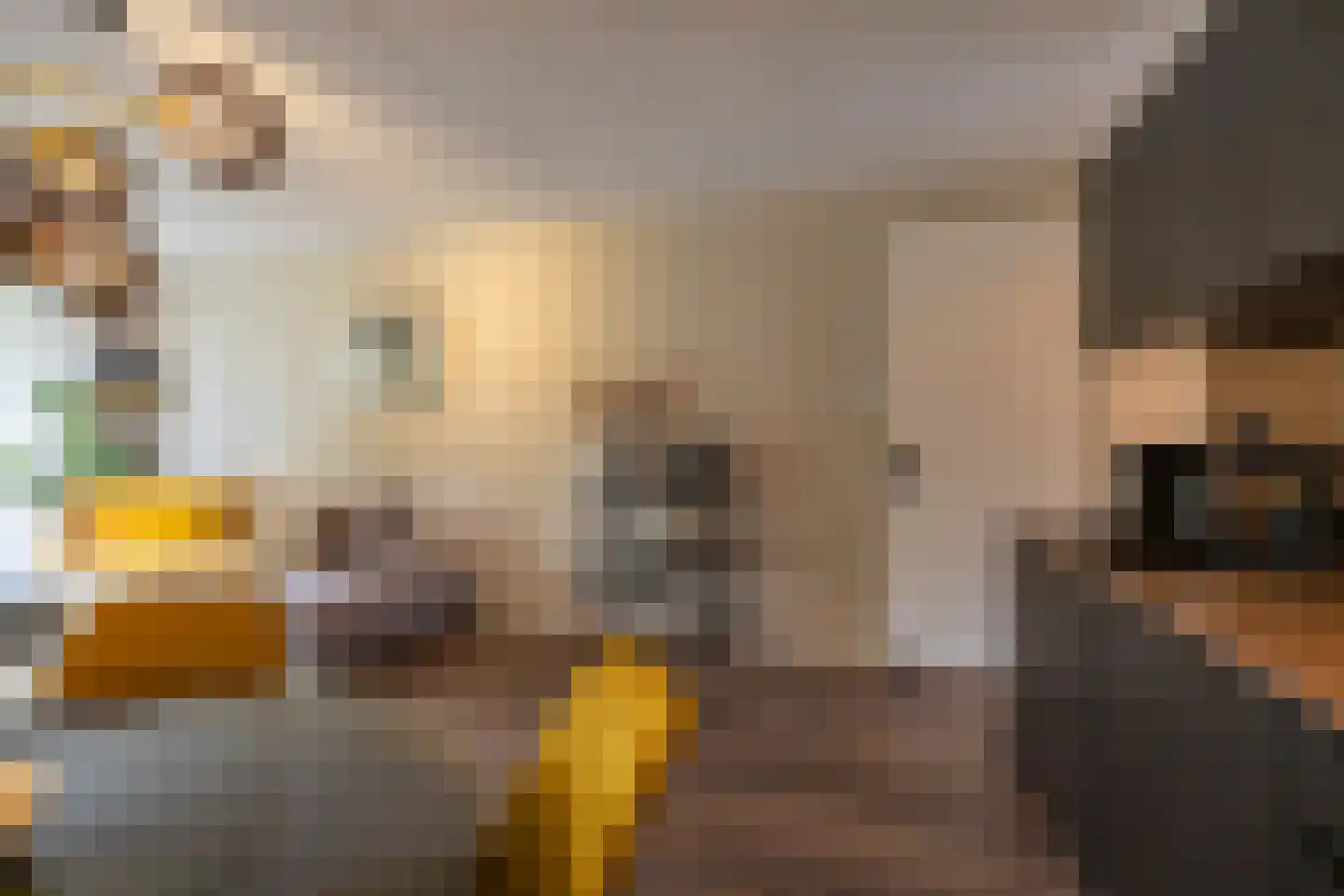 Rembrandt van Rijnstraat 115 Groningen thumbnail 11