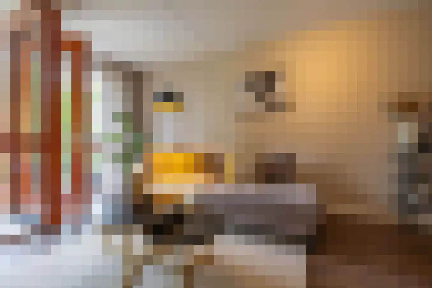 Rembrandt van Rijnstraat 115 Groningen thumbnail 19