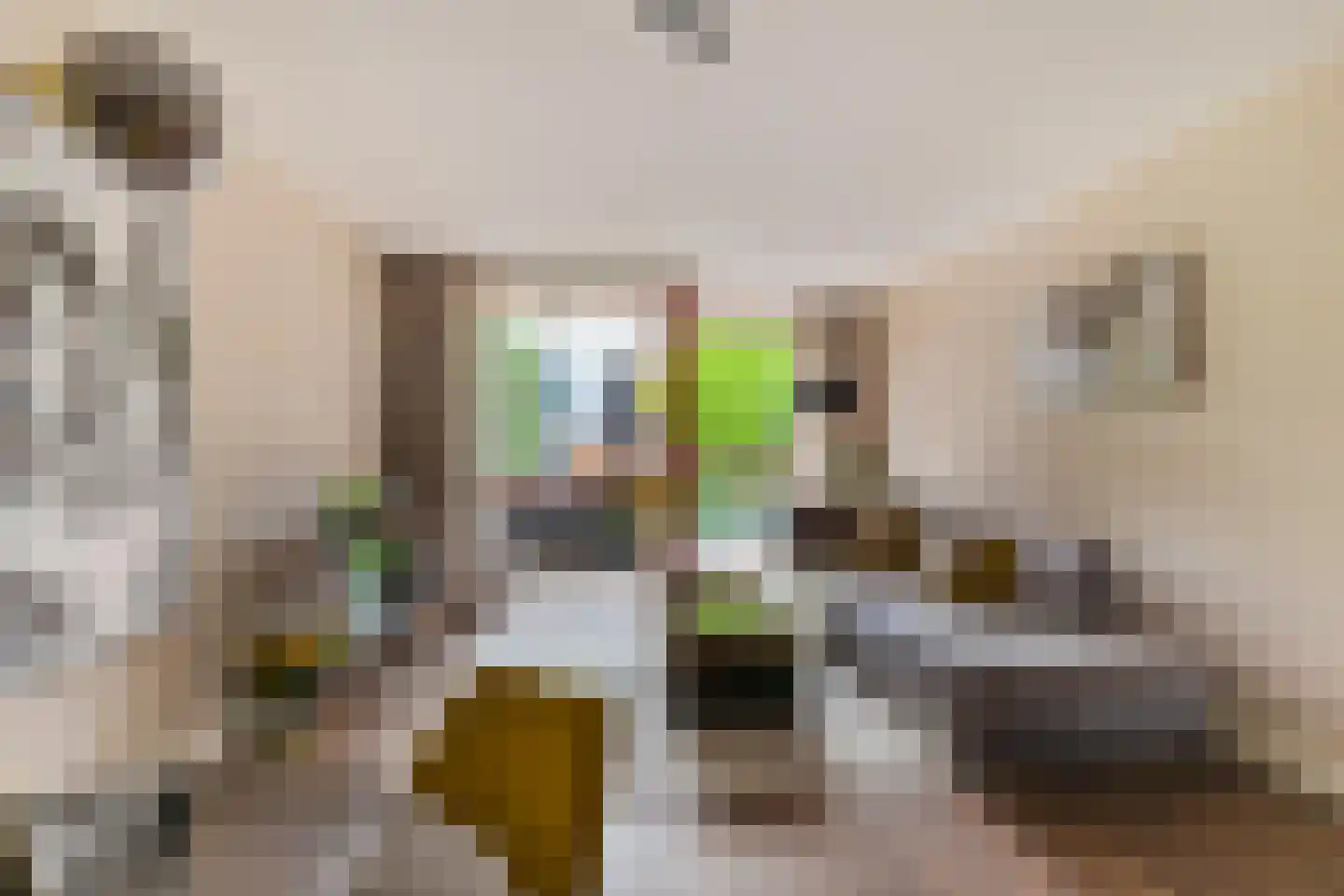 Rembrandt van Rijnstraat 115 Groningen thumbnail 21