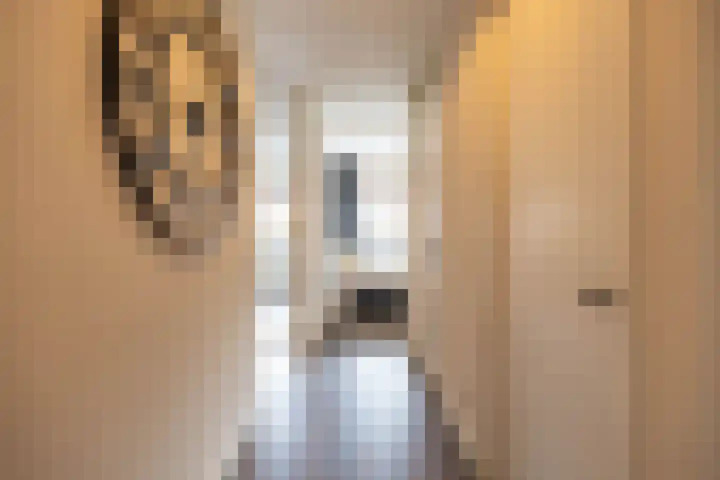 Rembrandt van Rijnstraat 115 Groningen thumbnail 23