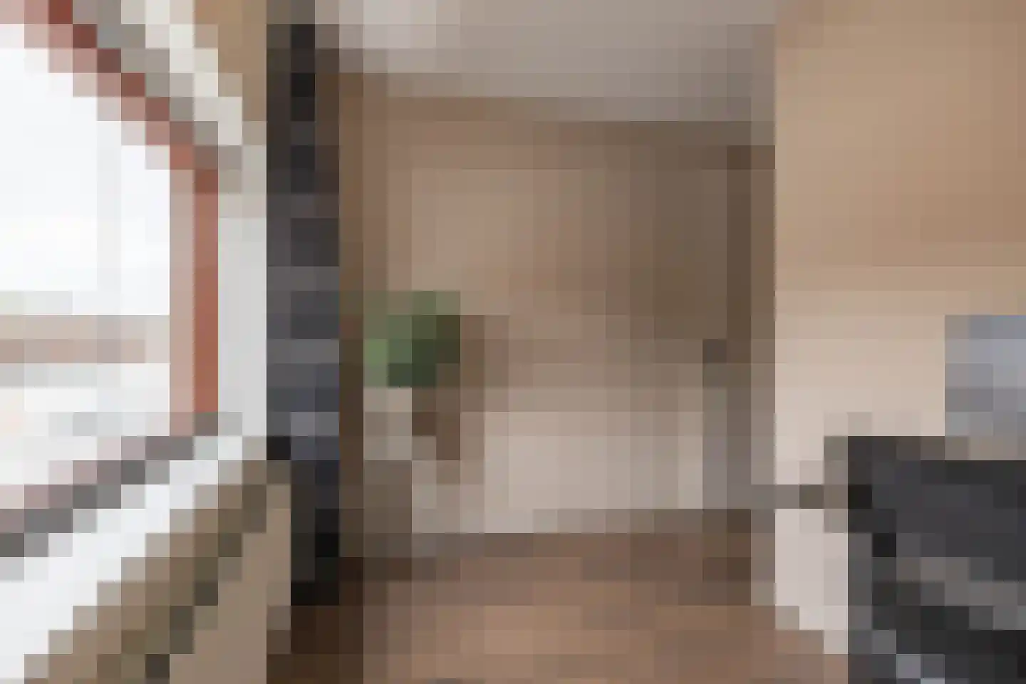 Rembrandt van Rijnstraat 115 Groningen thumbnail 25