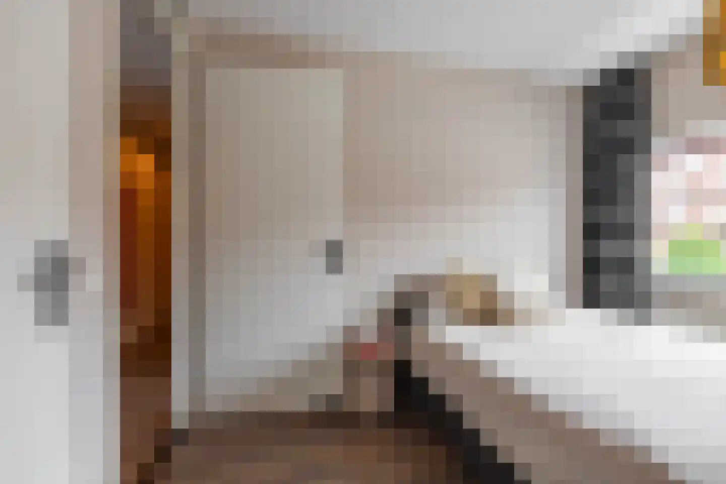 Rembrandt van Rijnstraat 115 Groningen thumbnail 27