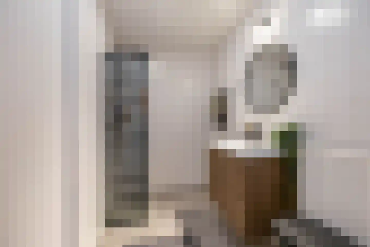 Rembrandt van Rijnstraat 115 Groningen thumbnail 30