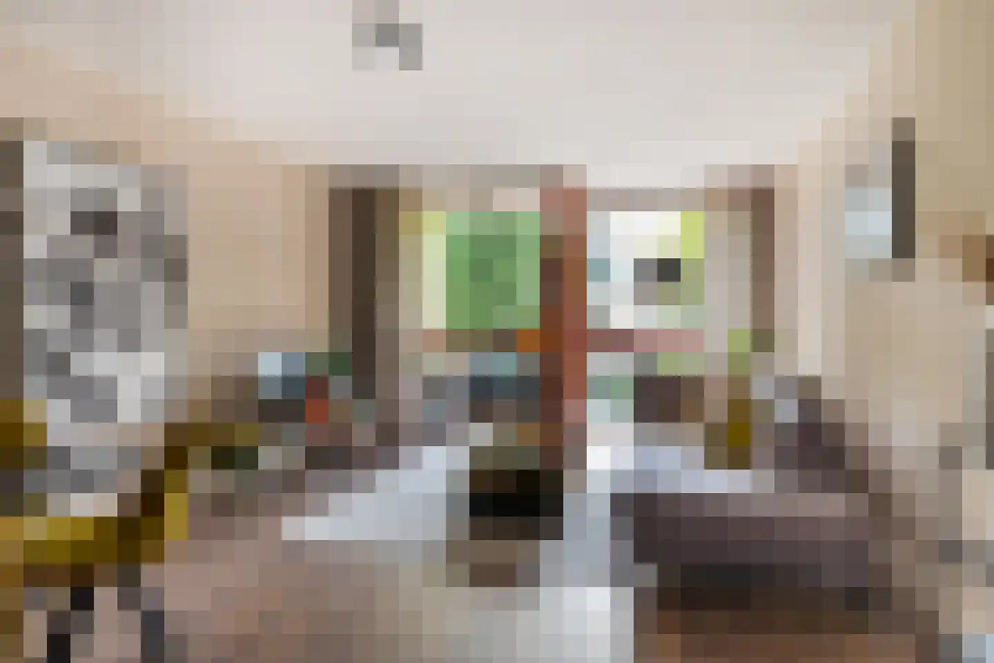 Rembrandt van Rijnstraat 115 Groningen thumbnail 32