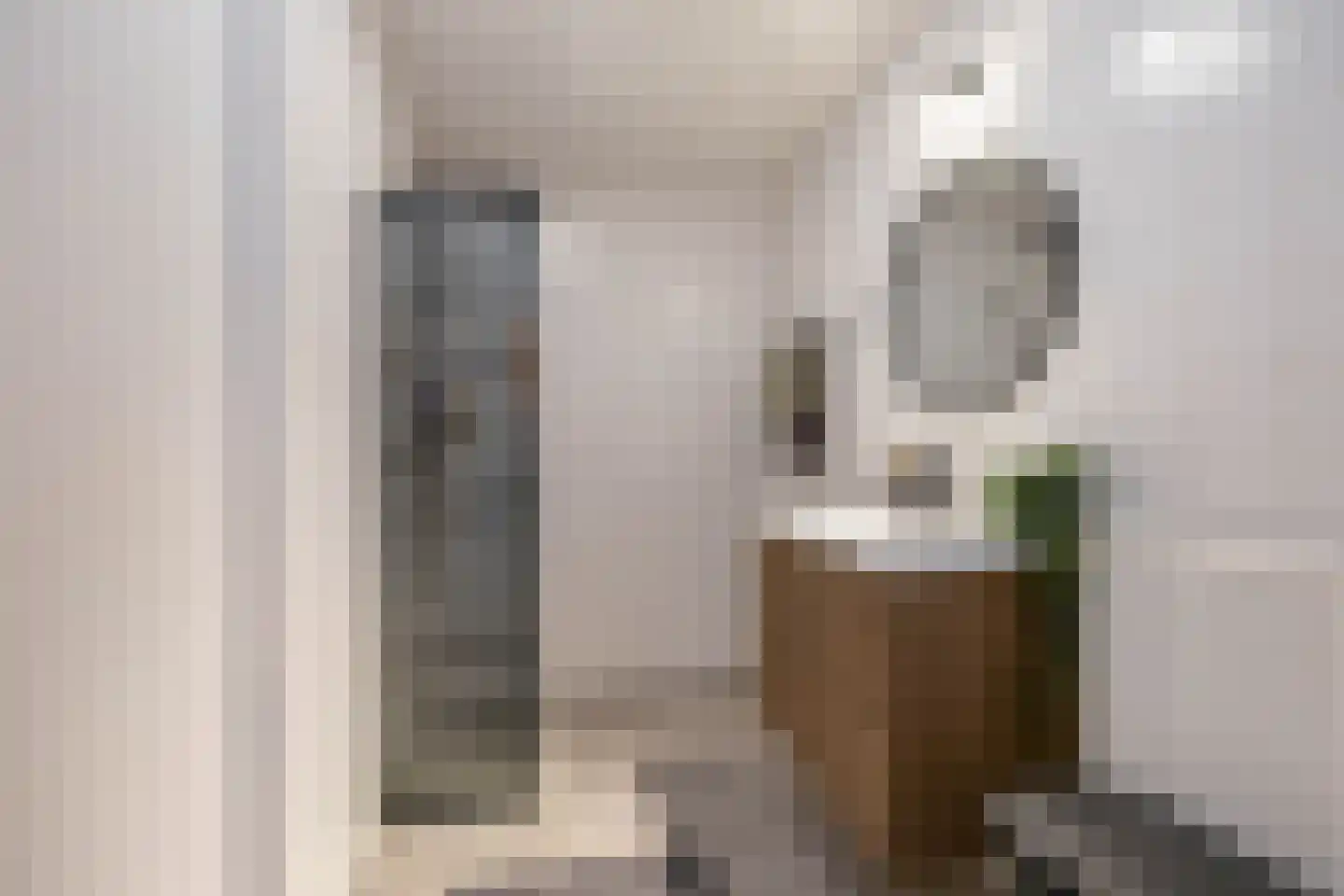 Rembrandt van Rijnstraat 115 Groningen thumbnail 33
