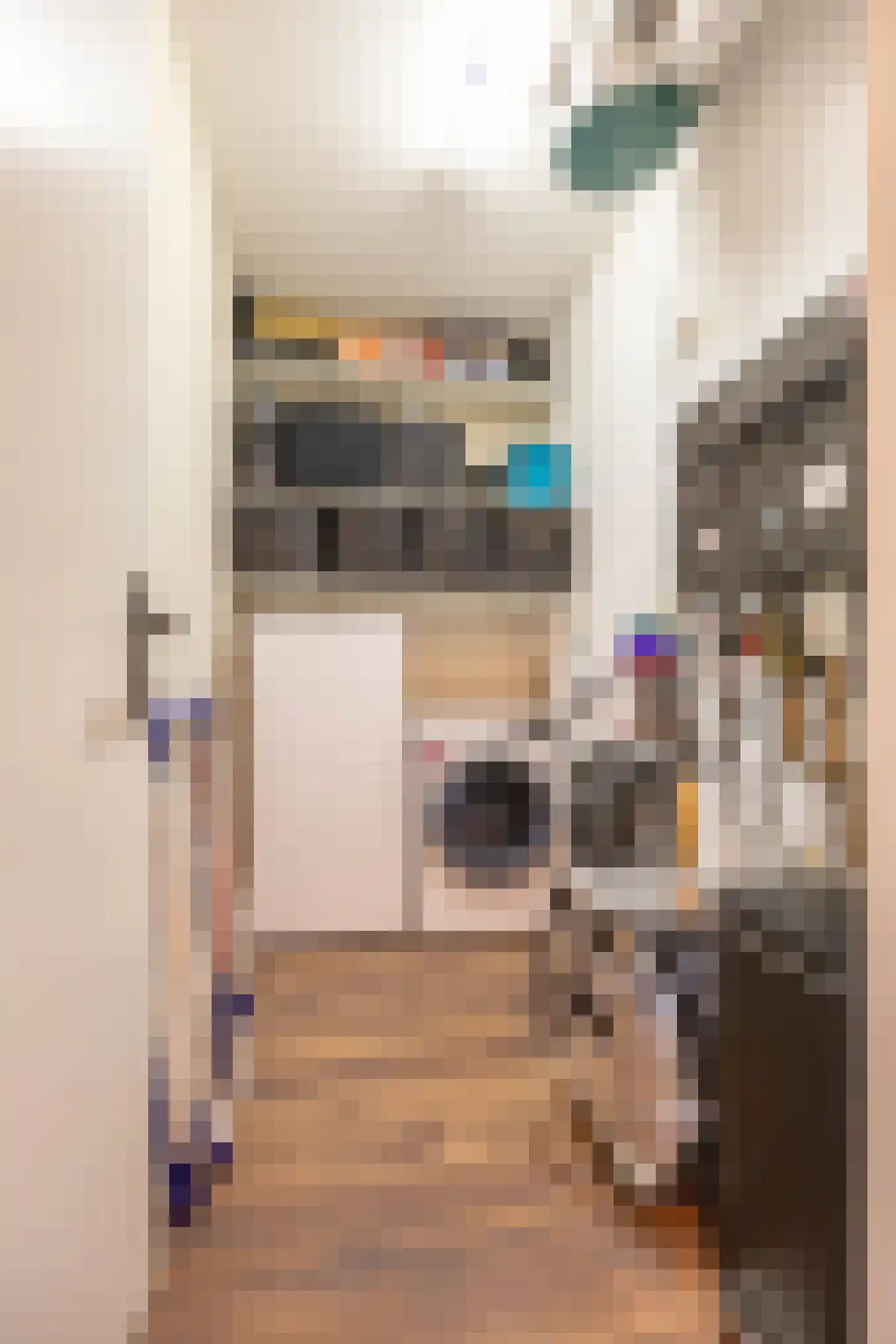 Rembrandt van Rijnstraat 115 Groningen thumbnail 35