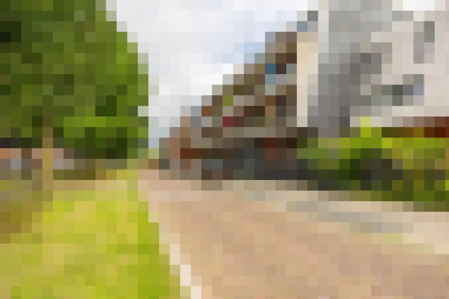 Rembrandt van Rijnstraat 115 Groningen thumbnail 4