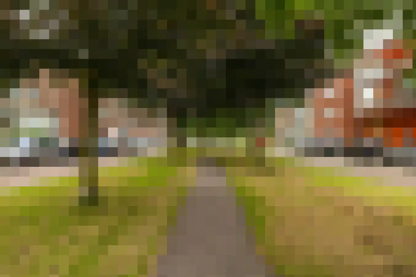 Rembrandt van Rijnstraat 115 Groningen thumbnail 4