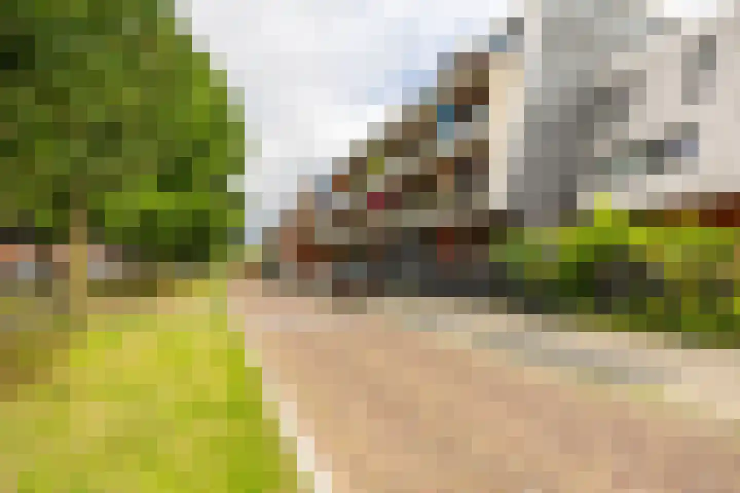 Rembrandt van Rijnstraat 115 Groningen thumbnail 5