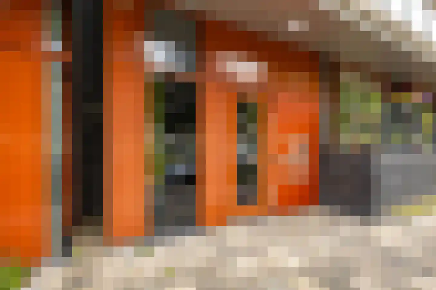 Rembrandt van Rijnstraat 115 Groningen thumbnail 5