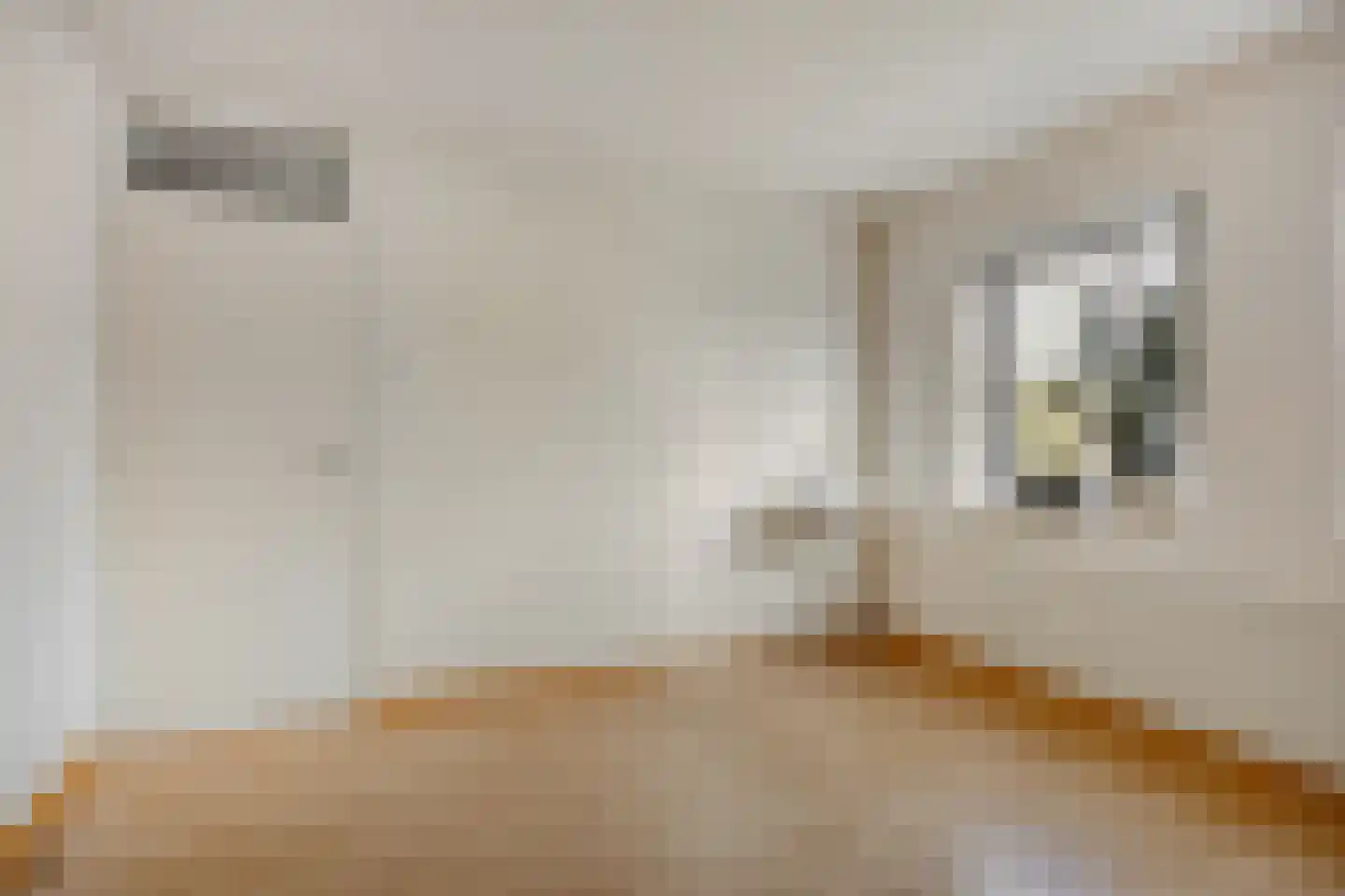 Rembrandt van Rijnstraat 12 Schoondijke thumbnail 17