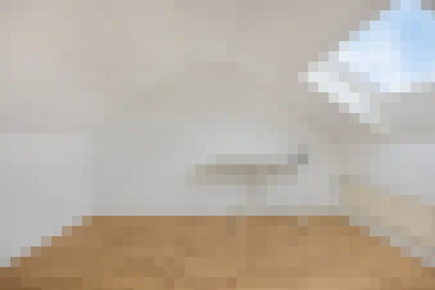 Rembrandt van Rijnstraat 12 Schoondijke thumbnail 20