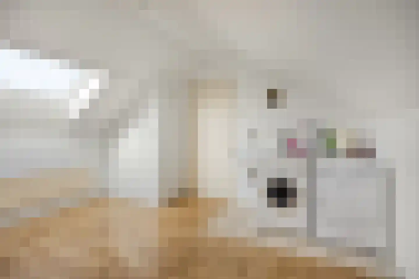 Rembrandt van Rijnstraat 12 Schoondijke thumbnail 21