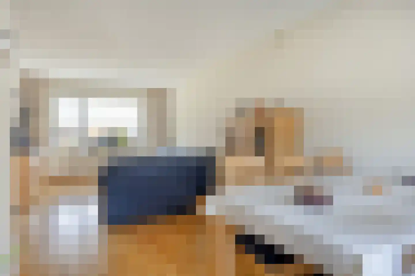 Rembrandt van Rijnstraat 12 Schoondijke thumbnail 7
