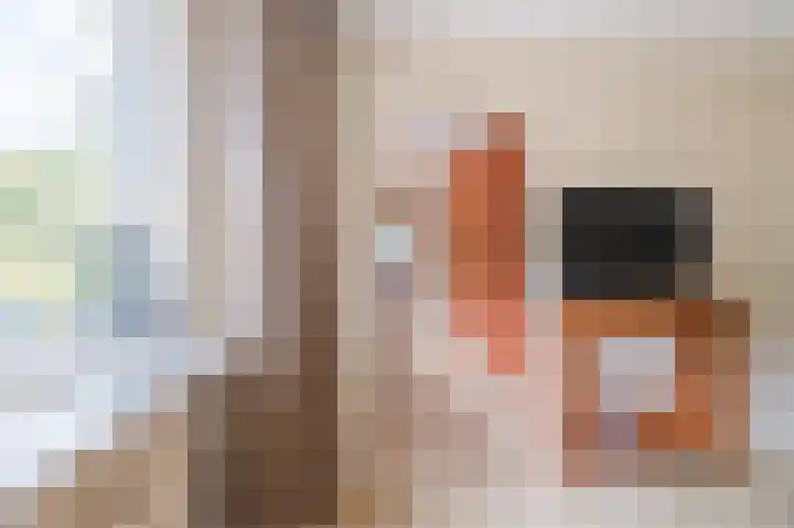 Rembrandt van Rijnstraat 2 Oisterwijk thumbnail 13