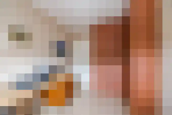 Rembrandt van Rijnstraat 2 Oisterwijk thumbnail 18