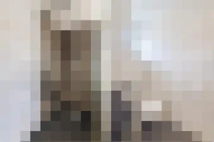 Rembrandt van Rijnstraat 2 Oisterwijk thumbnail 22