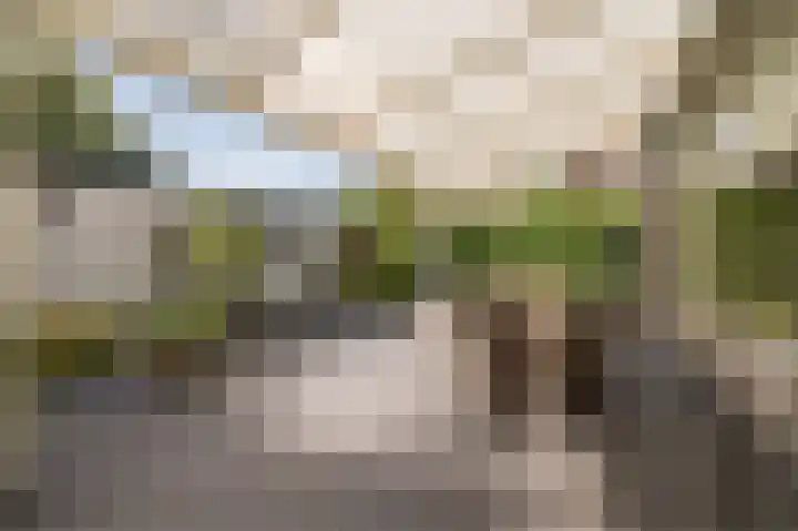 Rembrandt van Rijnstraat 2 Oisterwijk thumbnail 29