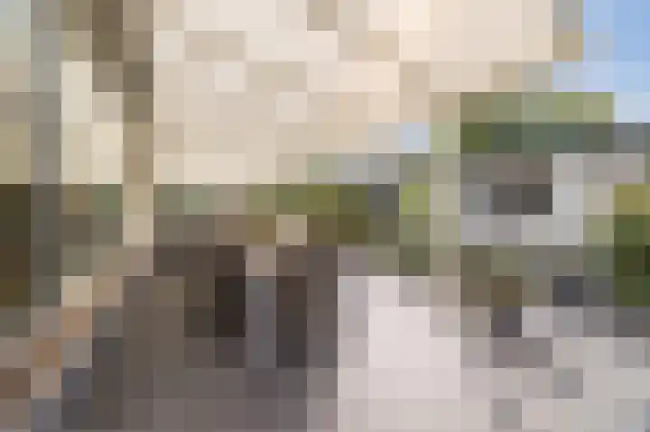 Rembrandt van Rijnstraat 2 Oisterwijk thumbnail 32