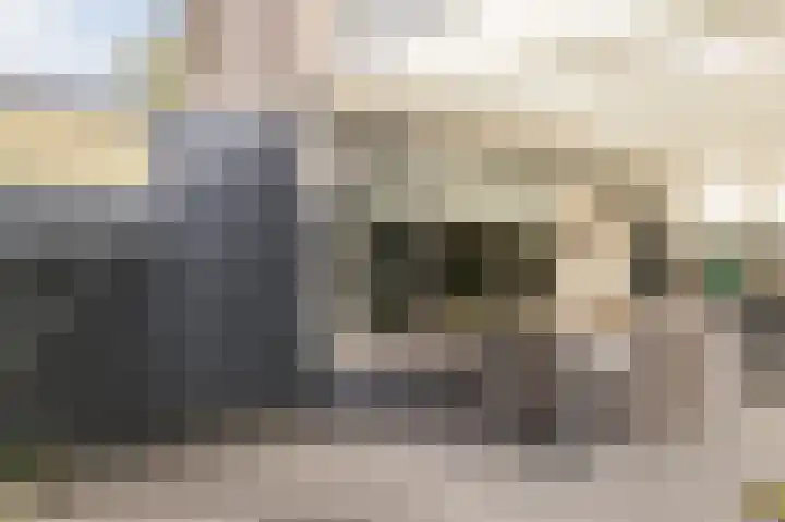 Rembrandt van Rijnstraat 2 Oisterwijk thumbnail 33