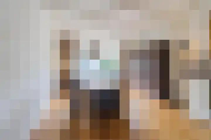 Rembrandt van Rijnstraat 2 Oisterwijk thumbnail 4