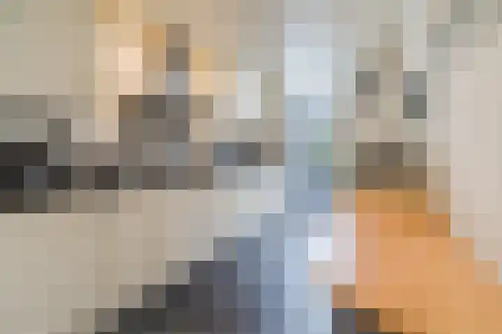 Rembrandt van Rijnstraat 2 Oisterwijk thumbnail 5