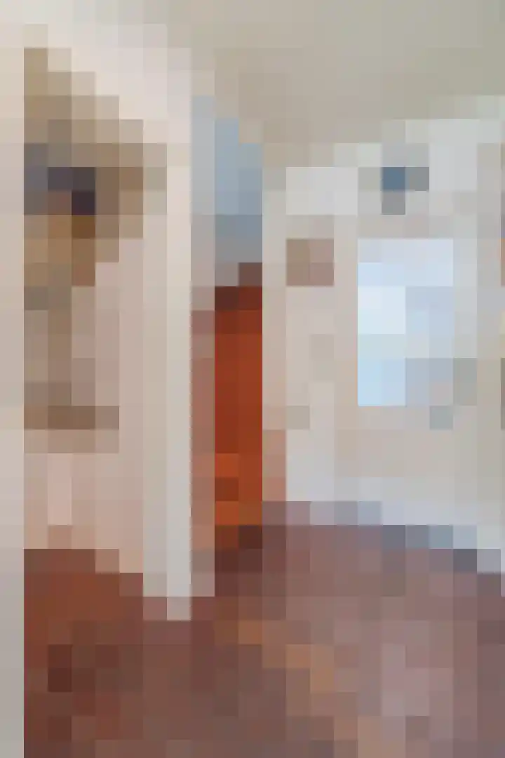 Rembrandt van Rijnstraat 2 Oisterwijk thumbnail 7