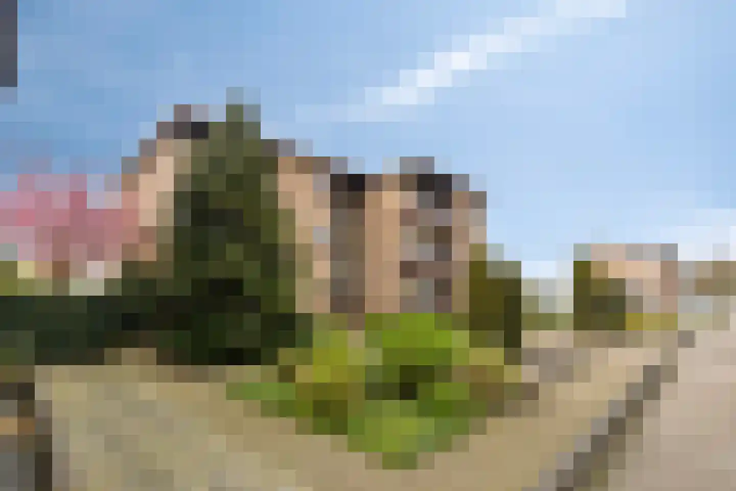 Rembrandt van Rijnstraat 22 Boxmeer thumbnail 35