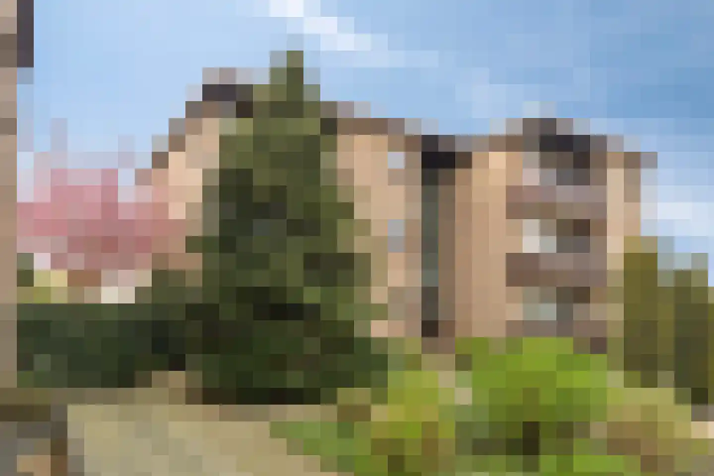 Rembrandt van Rijnstraat 22 Boxmeer thumbnail 5