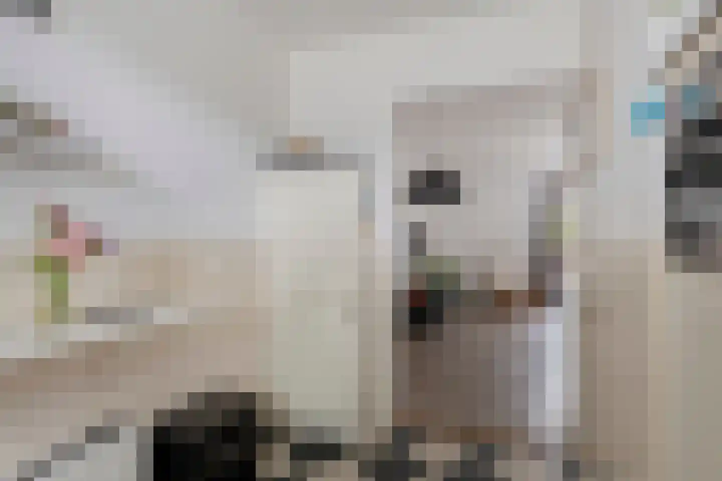 Rembrandt van Rijnstraat 23 Boxmeer thumbnail 17