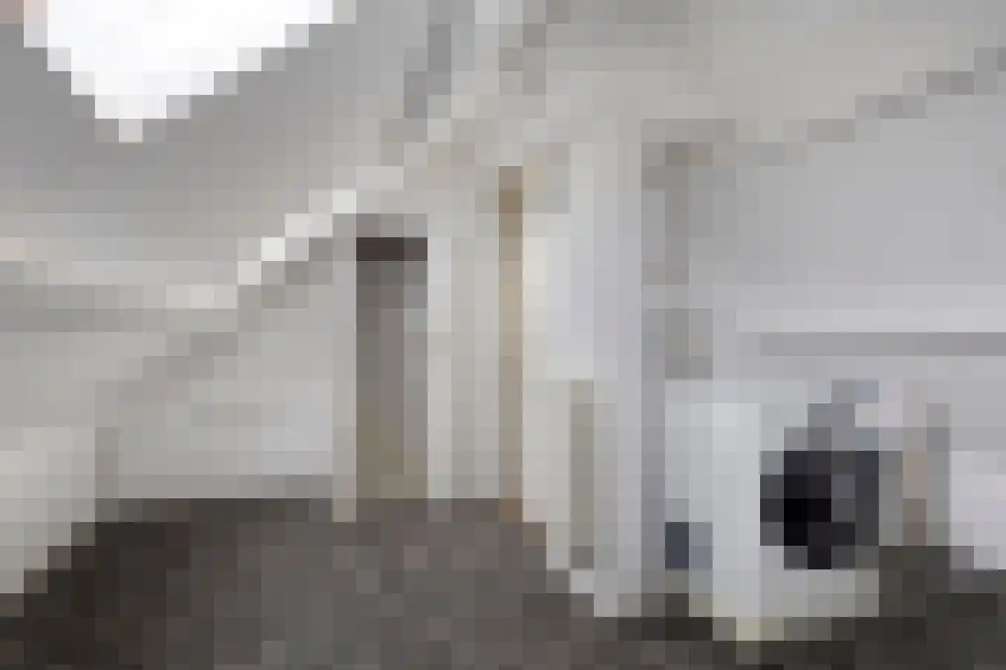 Rembrandt van Rijnstraat 23 Boxmeer thumbnail 25