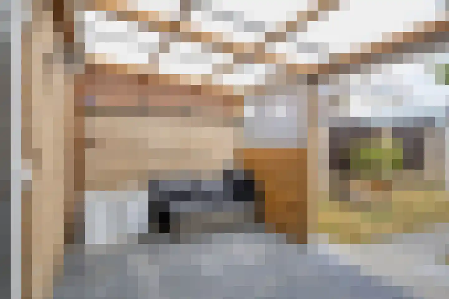 Rembrandt van Rijnstraat 23 Boxmeer thumbnail 27