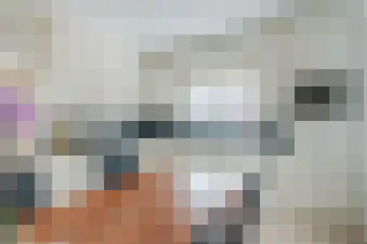 Rembrandt van Rijnstraat 23 Deurne thumbnail 26