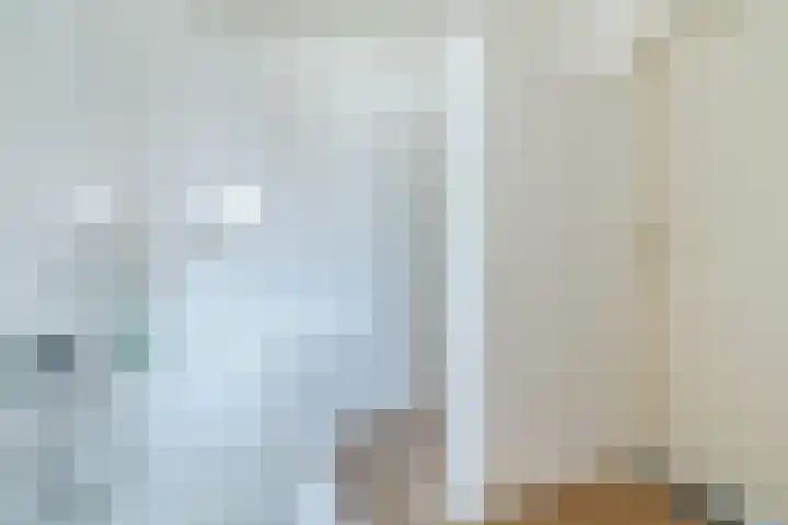 Rembrandt van Rijnstraat 23 Deurne thumbnail 40