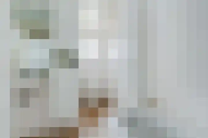 Rembrandt van Rijnstraat 23 Deurne thumbnail 42