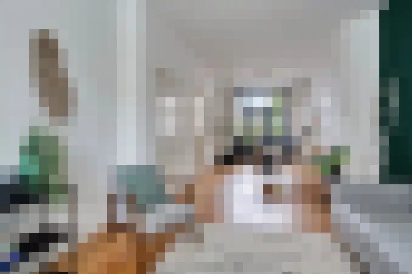 Rembrandt van Rijnstraat 28 Groningen thumbnail 8