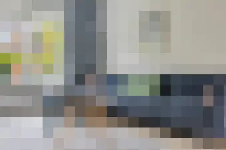 Rembrandt van Rijnstraat 28 Oisterwijk thumbnail 7