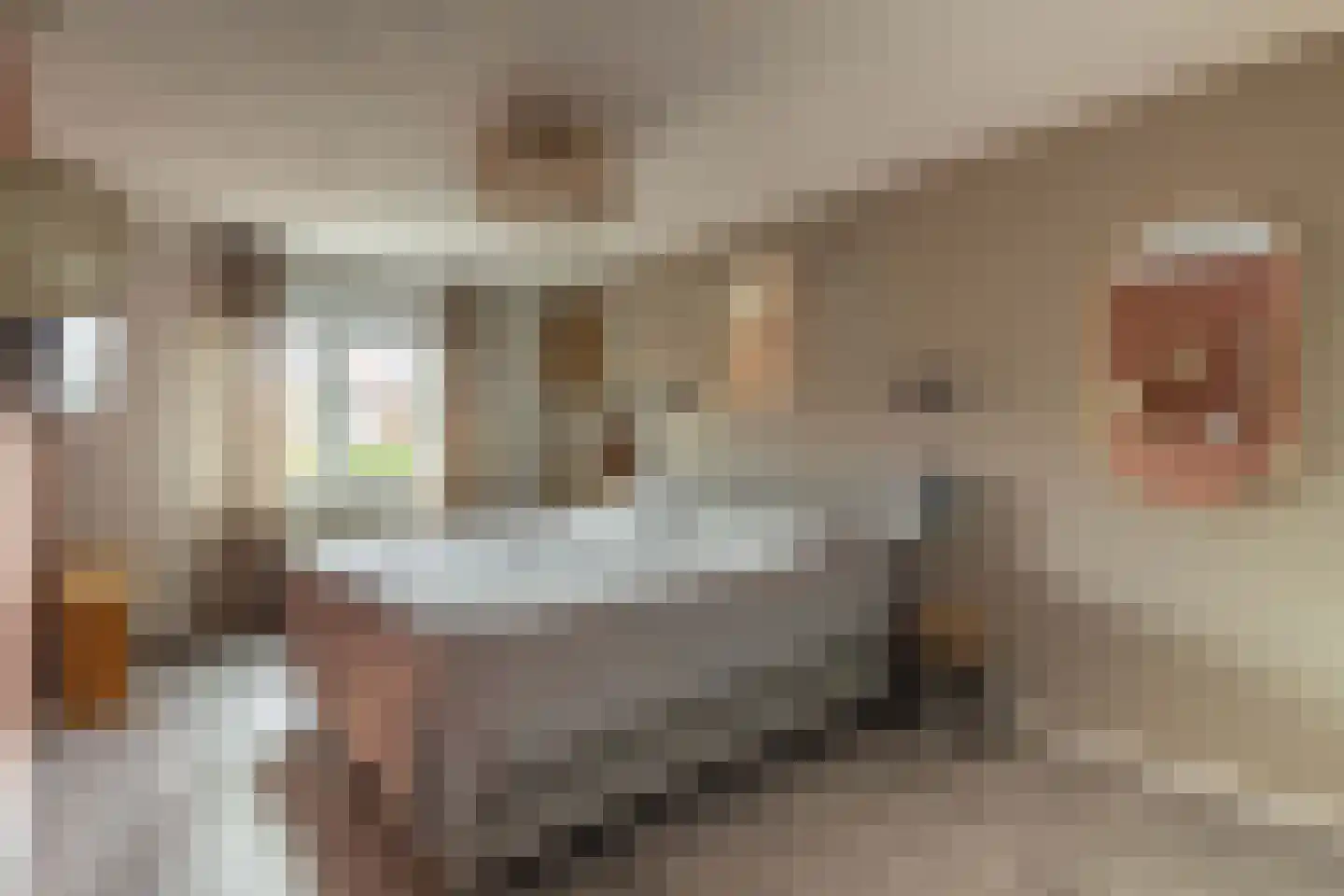 Rembrandt van Rijnstraat 29 Bunschoten-Spakenburg thumbnail 15