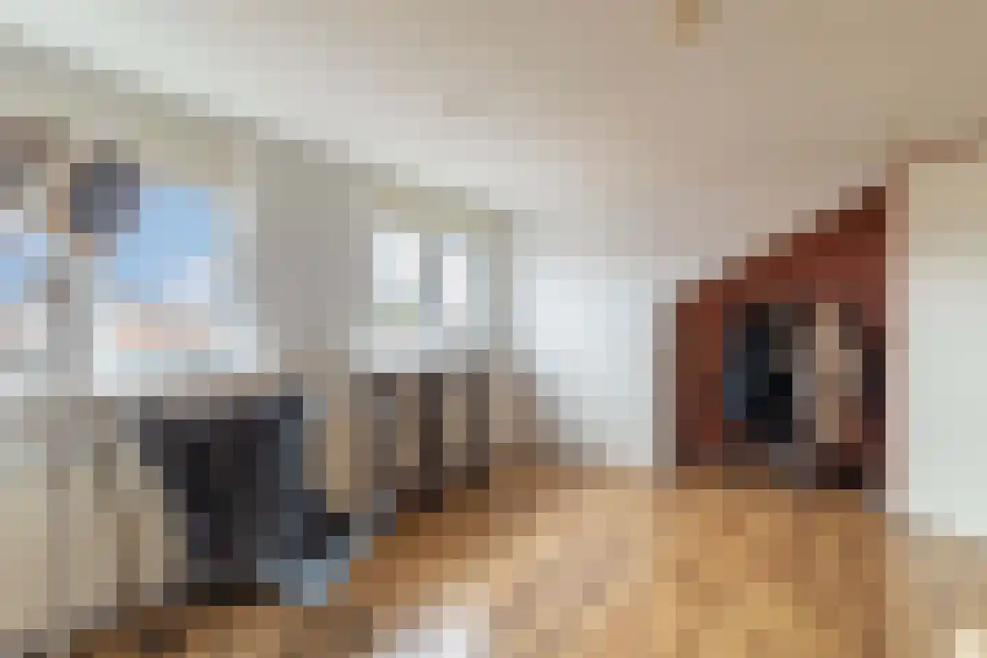 Rembrandt van Rijnstraat 29 Bunschoten-Spakenburg thumbnail 26