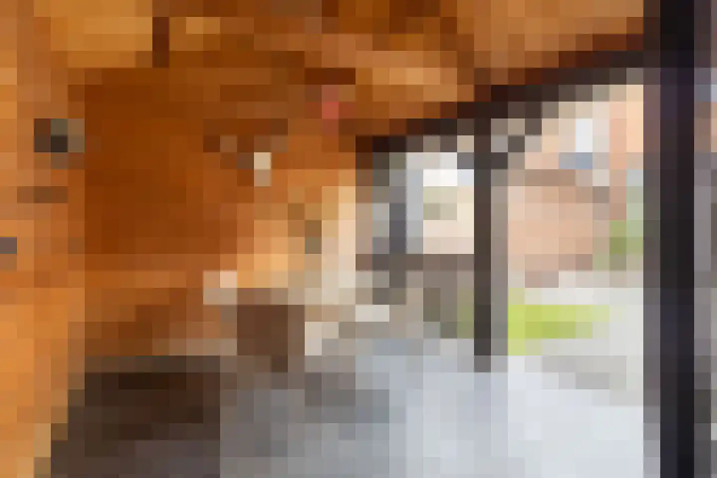 Rembrandt van Rijnstraat 29 Bunschoten-Spakenburg thumbnail 34