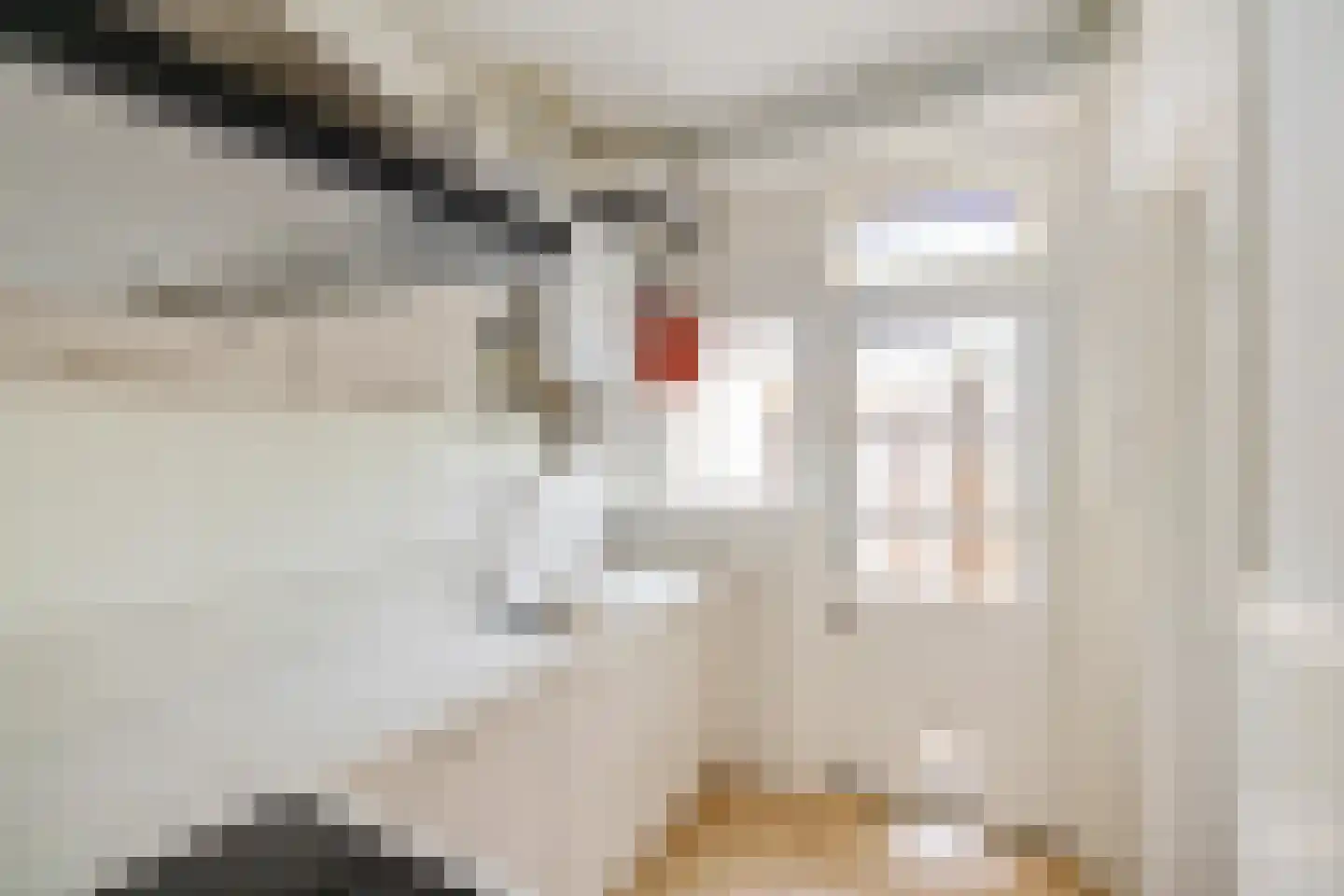Rembrandt van Rijnstraat 3 Groningen thumbnail 6