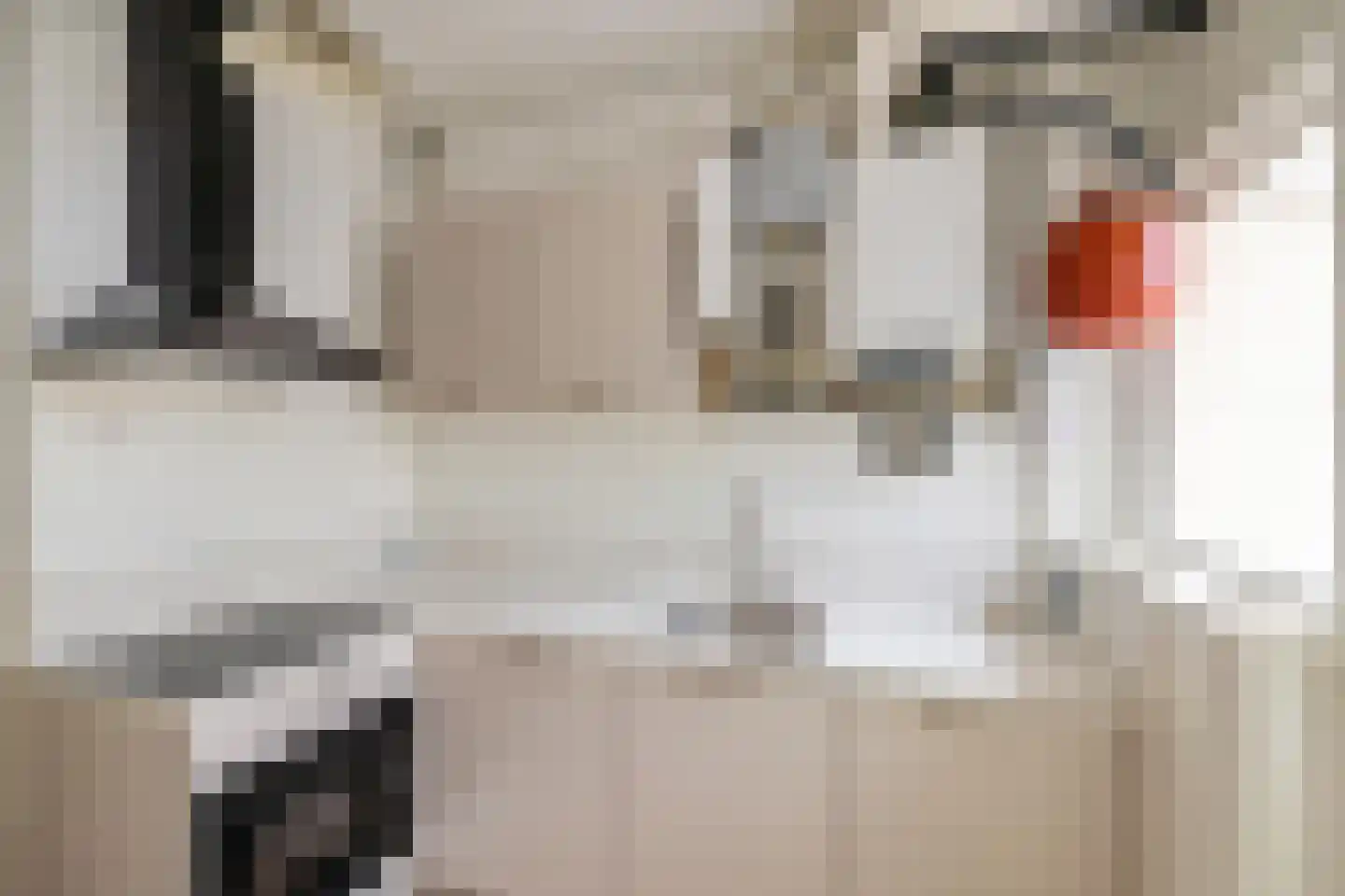 Rembrandt van Rijnstraat 3 Groningen thumbnail 7