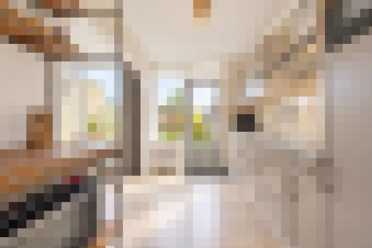 Rembrandt van Rijnstraat 30 Lienden thumbnail 10