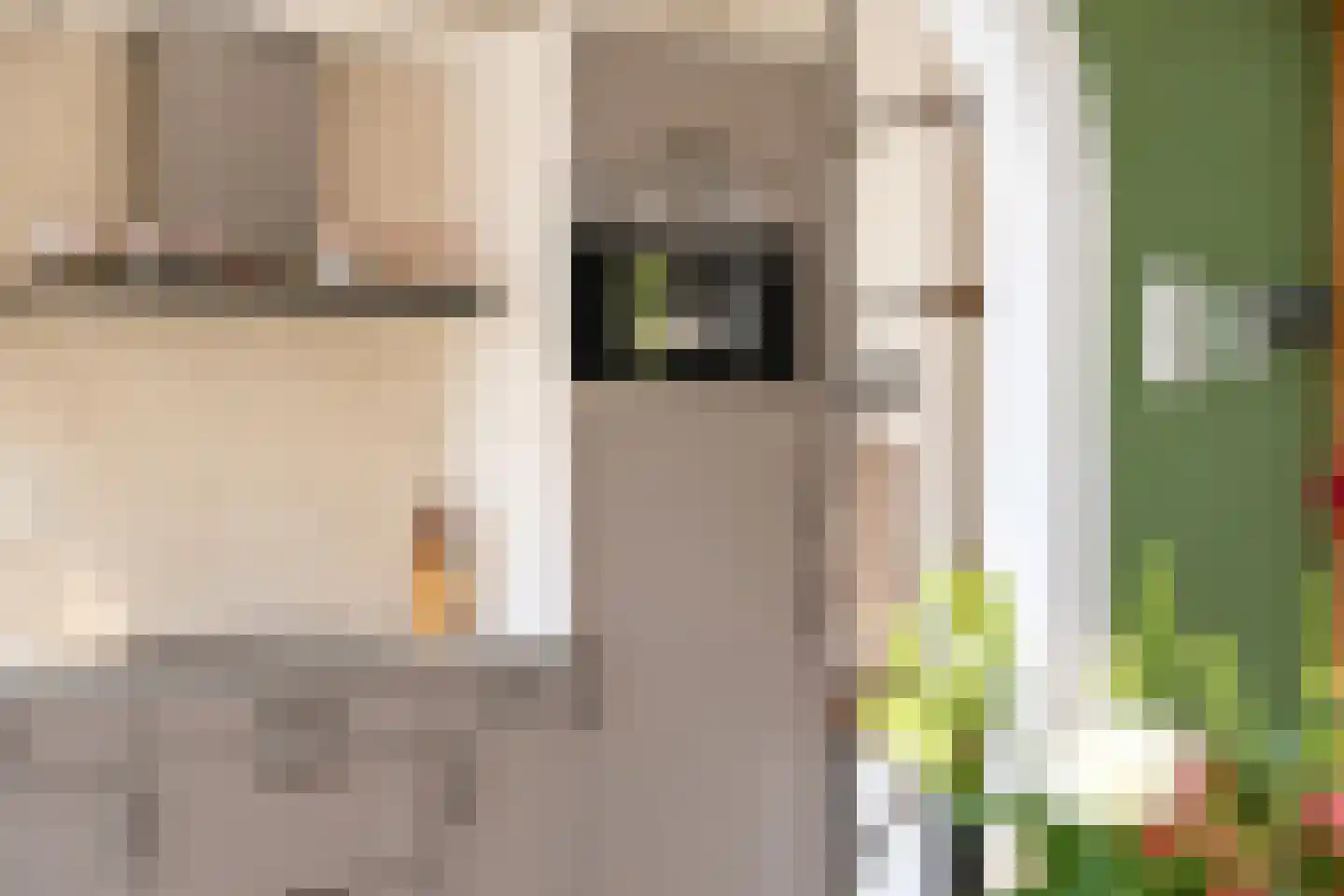 Rembrandt van Rijnstraat 30 Lienden thumbnail 15