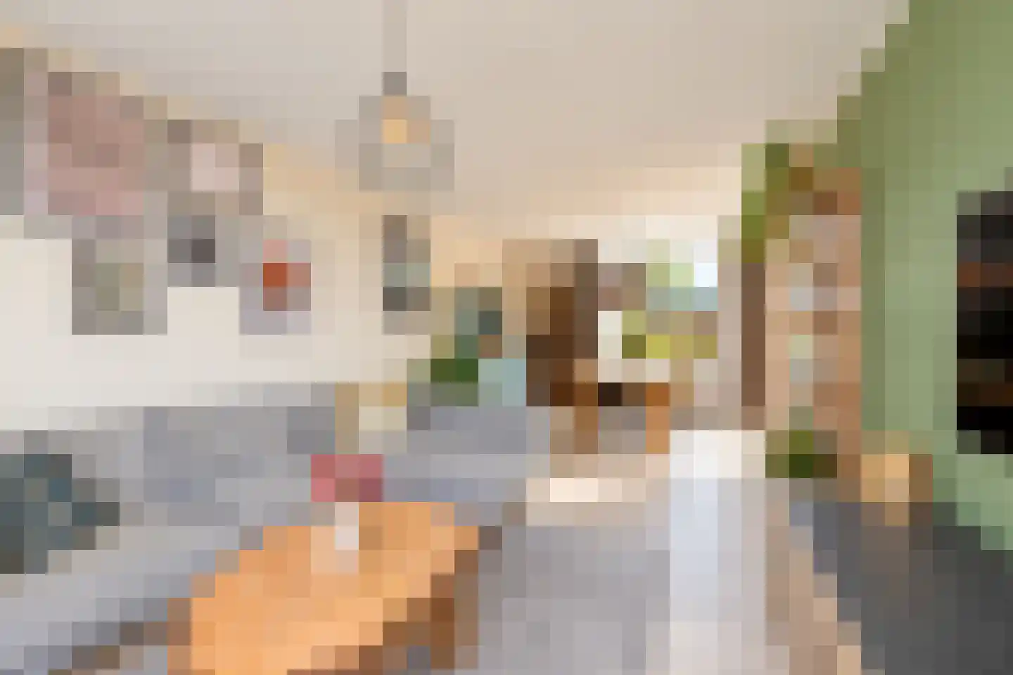 Rembrandt van Rijnstraat 30 Lienden thumbnail 21